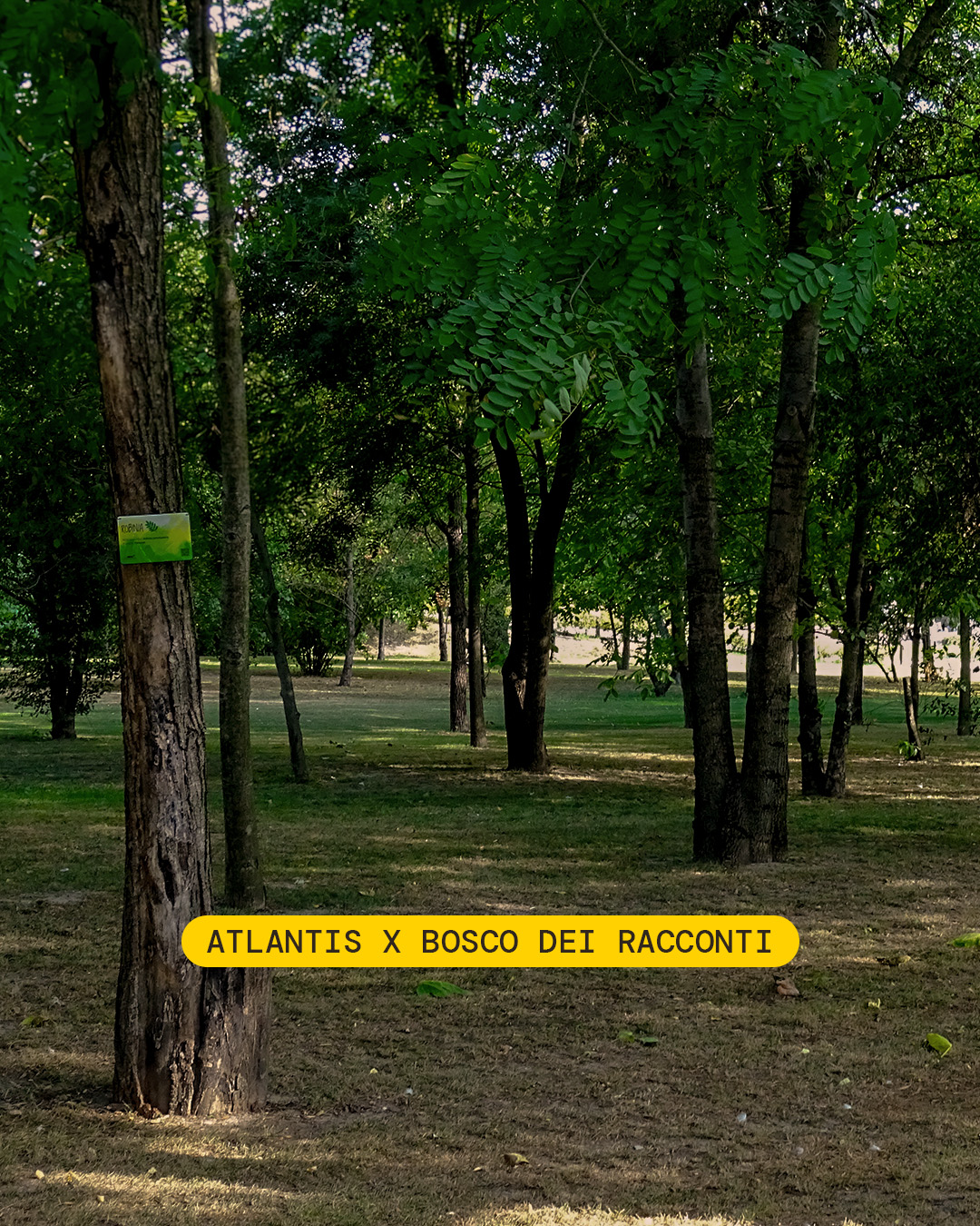 Atlantis Continues Its Commitment to Sustainability Through Bosco dei Racconti