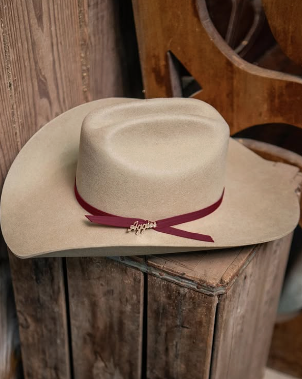 Stetson Collegiate Hat Collection